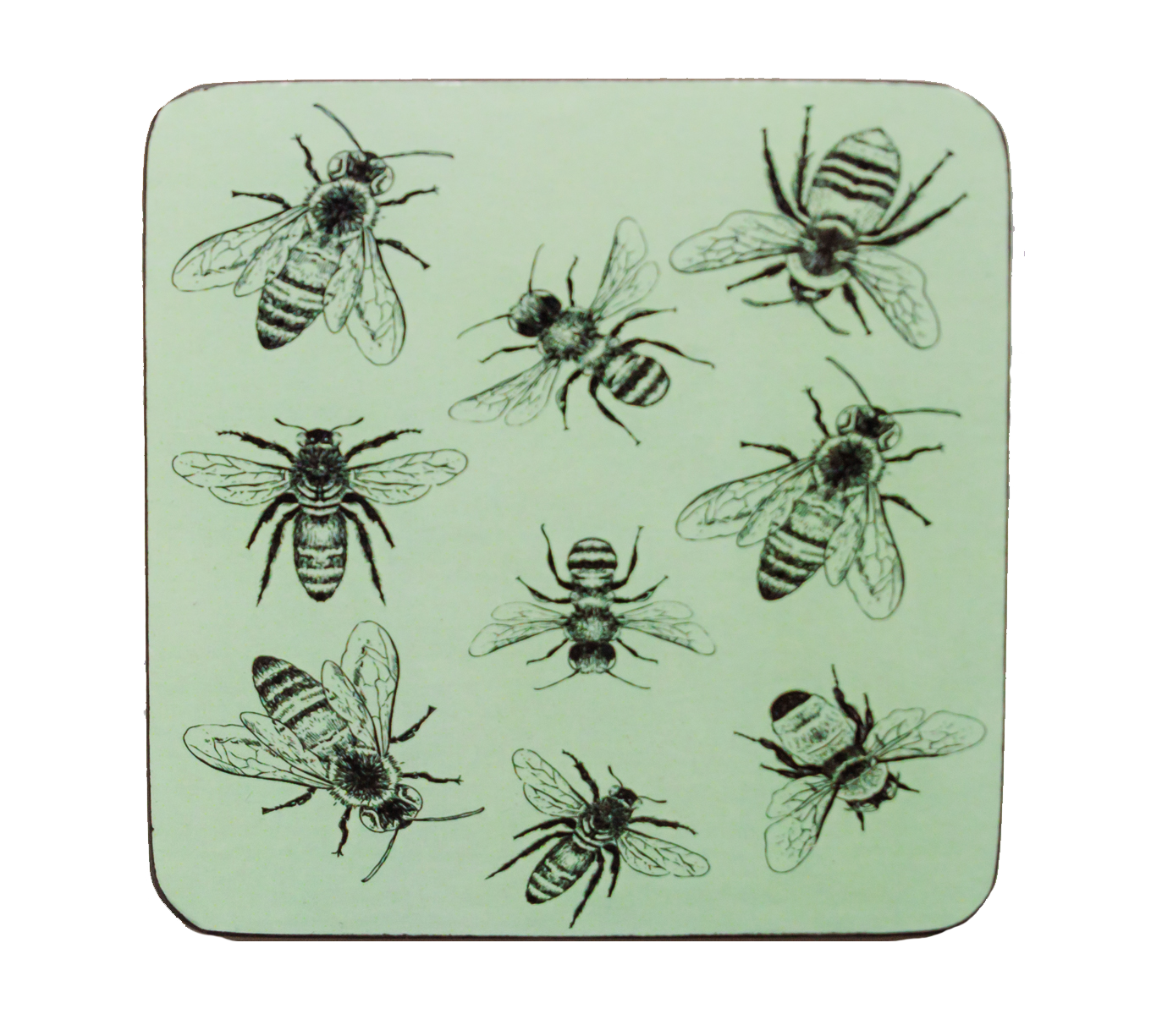 Coasters - Sketch Bee (set of 4)