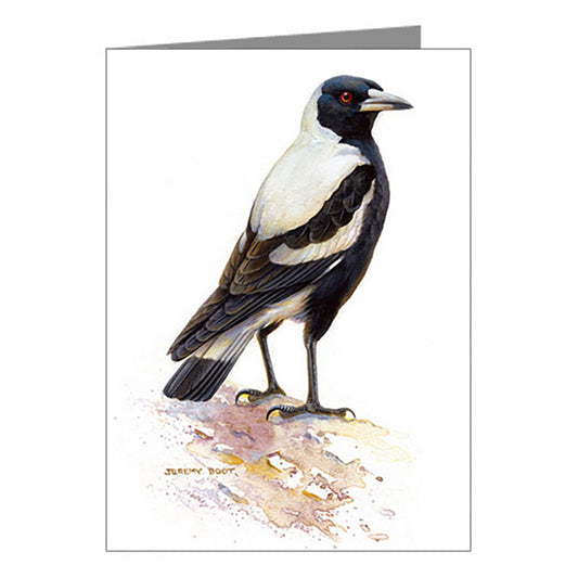 Blank Card - Magpie