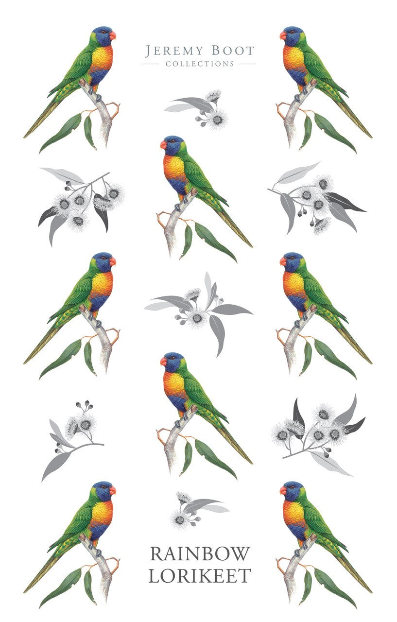 Jeremy Boot Cotton Tea Towel - Rainbow Lorikeet